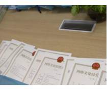 探秘广东企业文化 从热卖促销看网络文化经营的创新实践