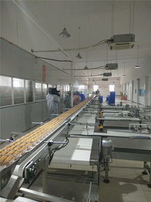 宜昌华尔食品公司荣获食品示范企业称号，引领饼干行业高质量发展